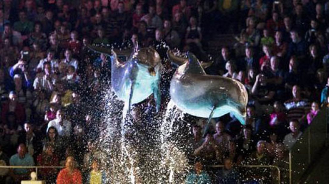 Dolfinarium: bijna 15.000 euro voor goede doel