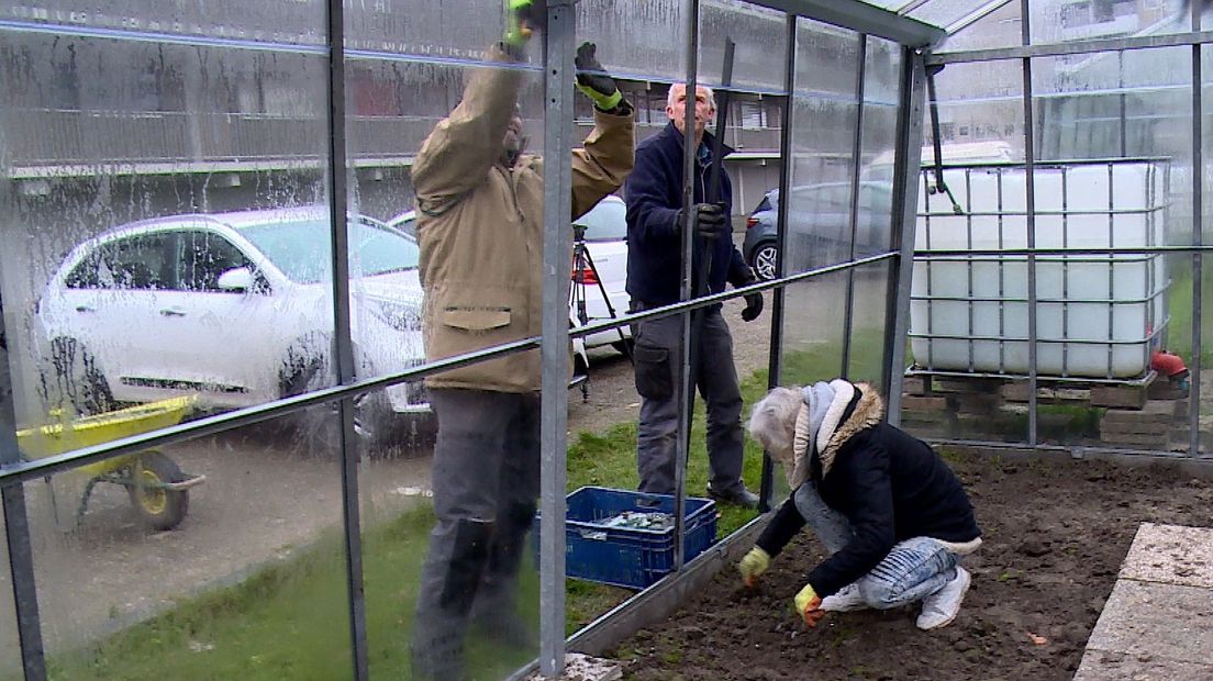 Vrijwilligers halen glasscherven weg bij een van de kassen van CitySeeds in Middelburg