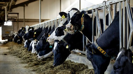 FrieslandCampina zwaar getroffen door Chinese zuivelheffingen