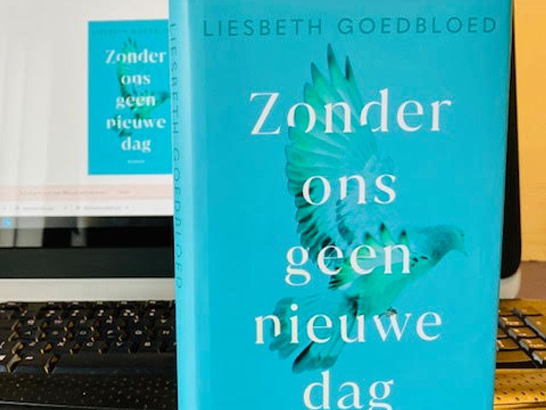 Nieuwe roman van Liesbeth Goedbloed