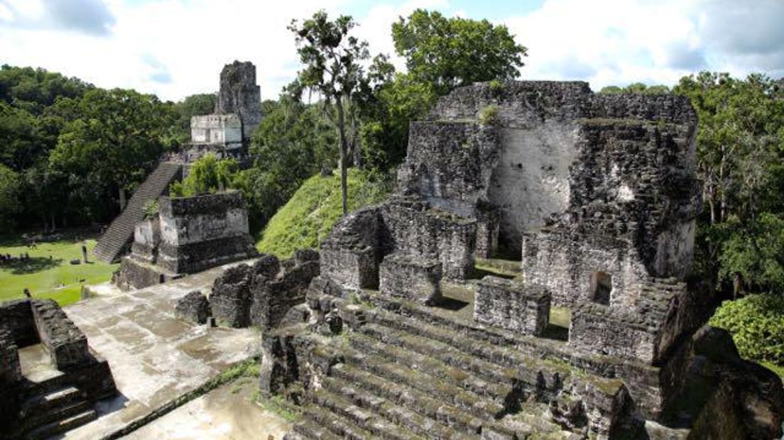 Ruïnes in de oude Maya stad Tikal (Rechten: RTV Drenthe / Edwin van Stenis)