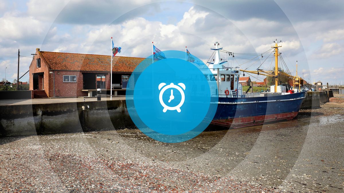 Goedemorgen! De Scheldeprijs van start, het wapen van Baarland en vrijheidsschrijvers in schrijfcafé