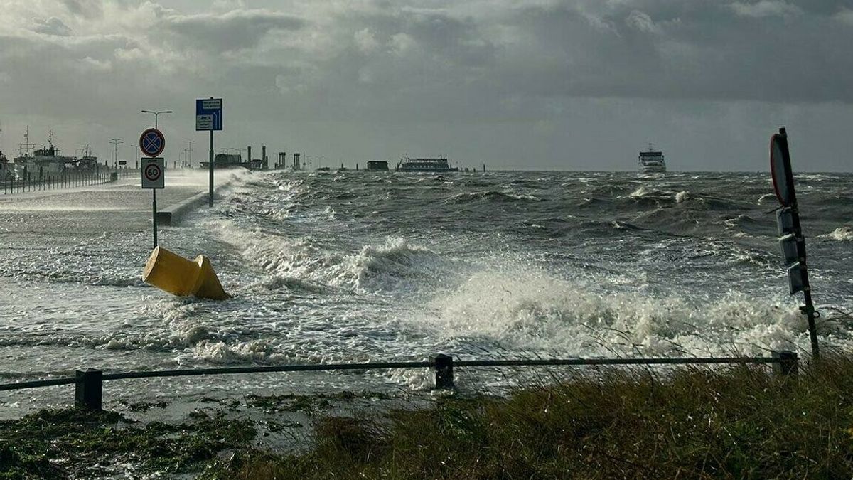 Problemen door hoogwater: verkeerschaos in Holwerd, boten voeren tijdelijk niet