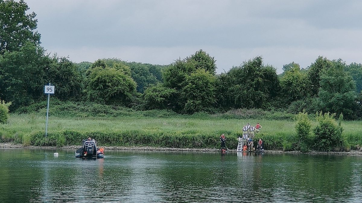 Vondst in Maas bij Reuver mogelijk gelinkt aan vermiste Allegonda