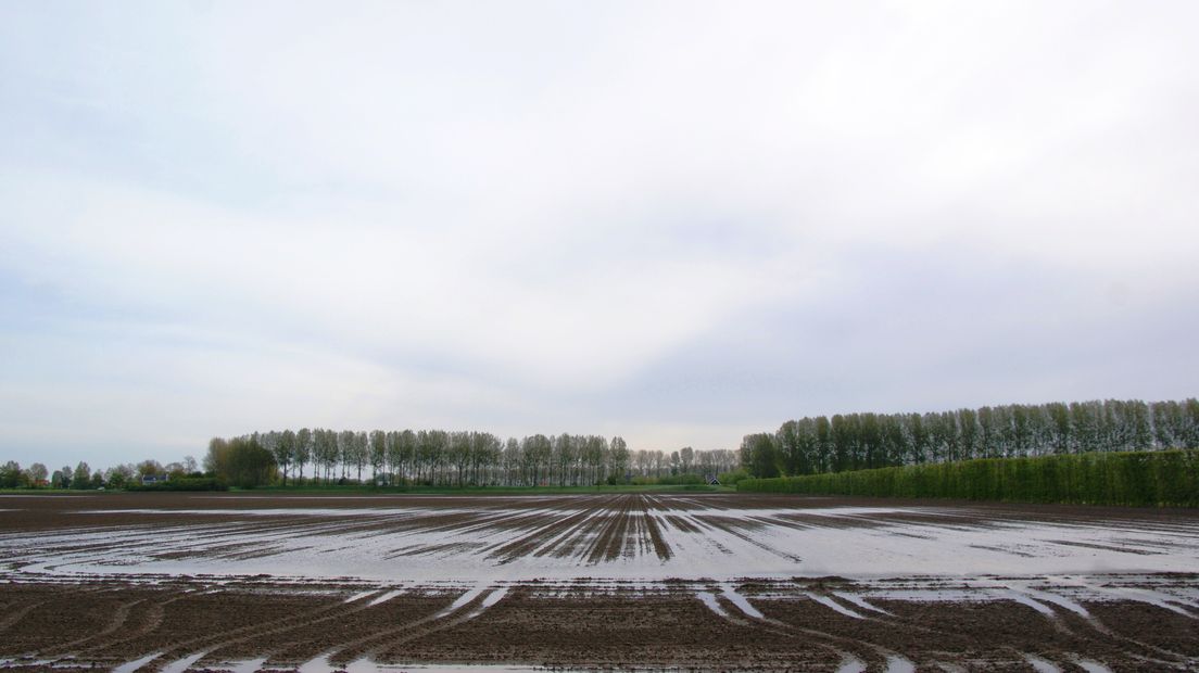 Ondergelopen akker door aanhoudende regen bij 's-Heerenhoek