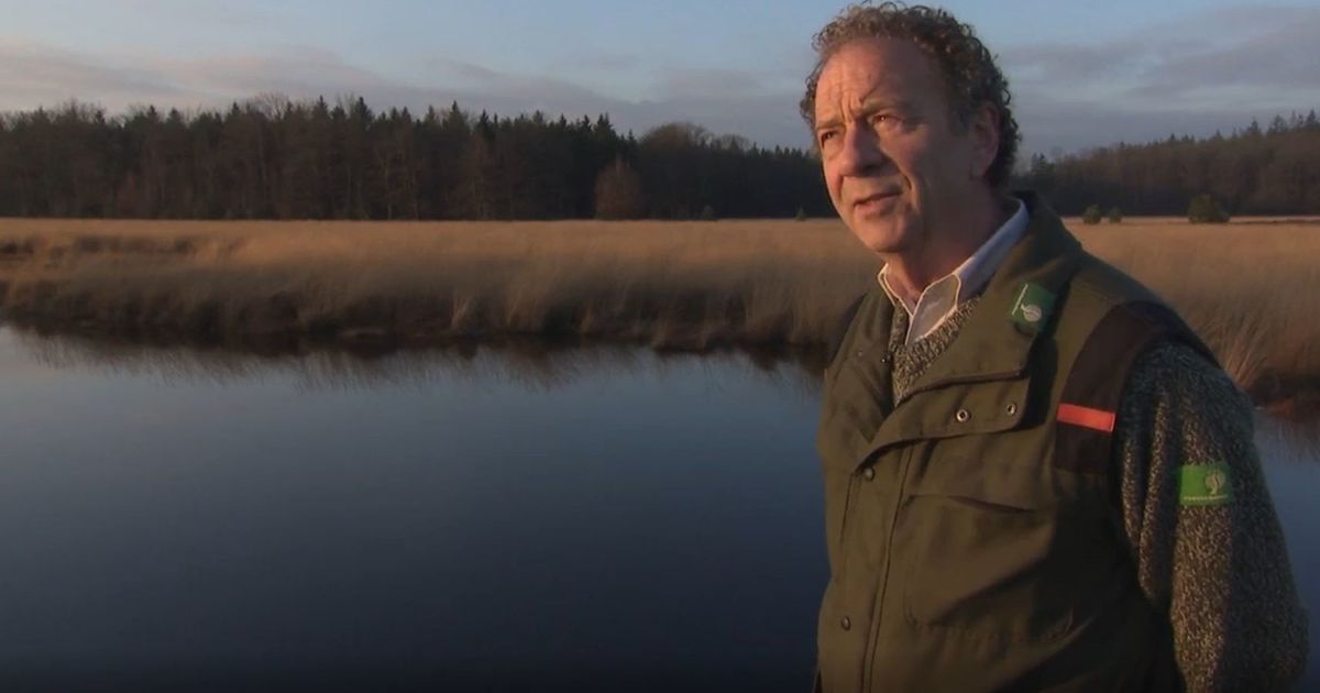 www.rtvdrenthe.nl
