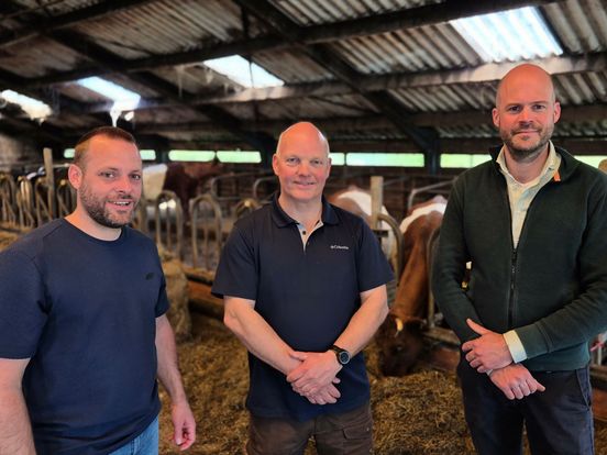 Koeien, klaver en minder stikstof: zo boeren Gert en Albert in Darp