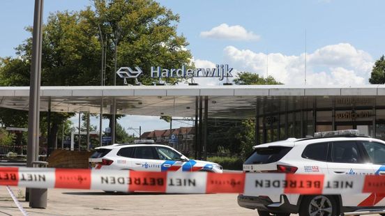Politie vindt geen verdacht pakketje; treinverkeer wordt weer opgestart