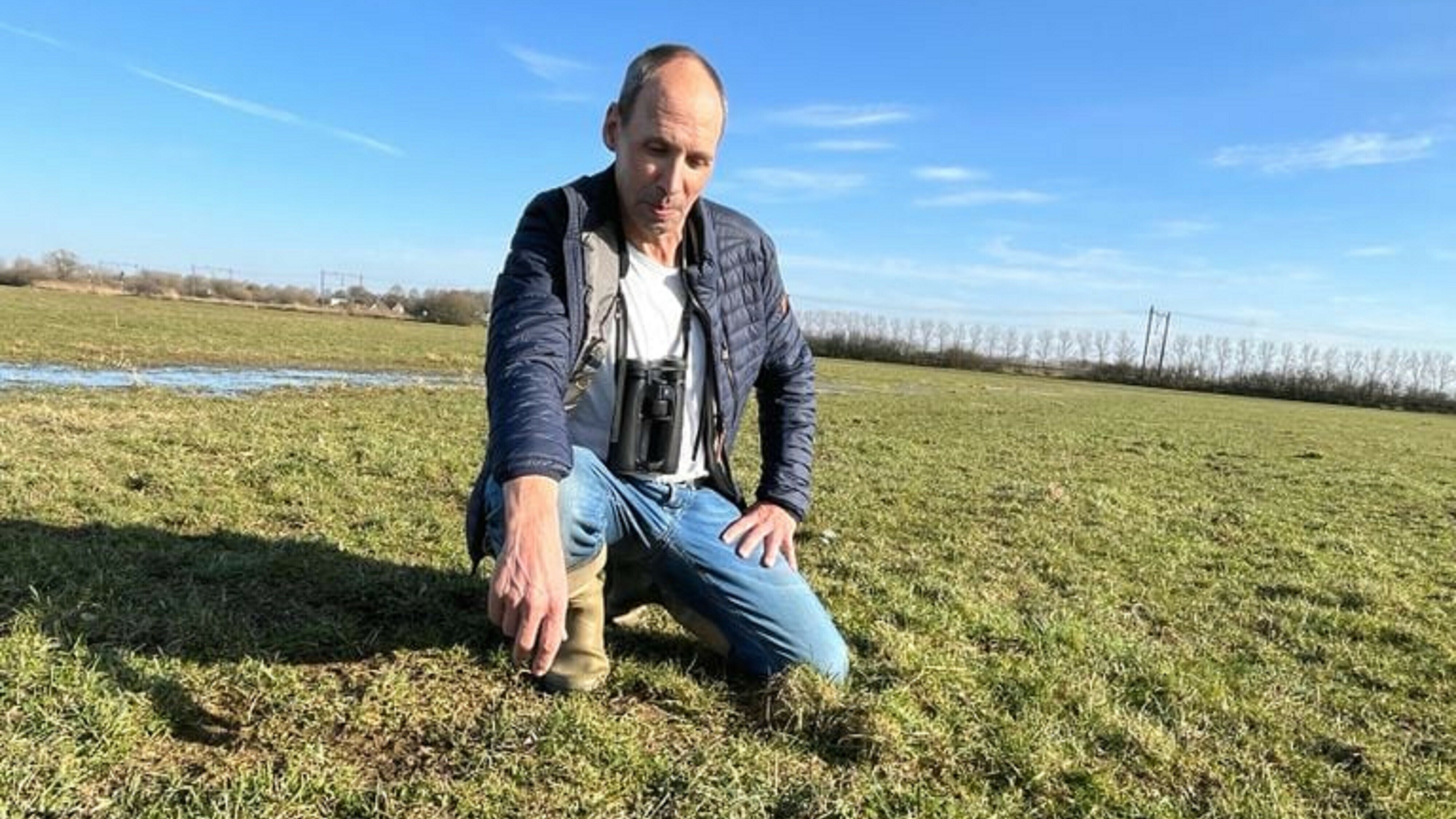 Wer net yn Fryslân: earste ljipaai fan Nederlân fûn yn Noard-Brabân