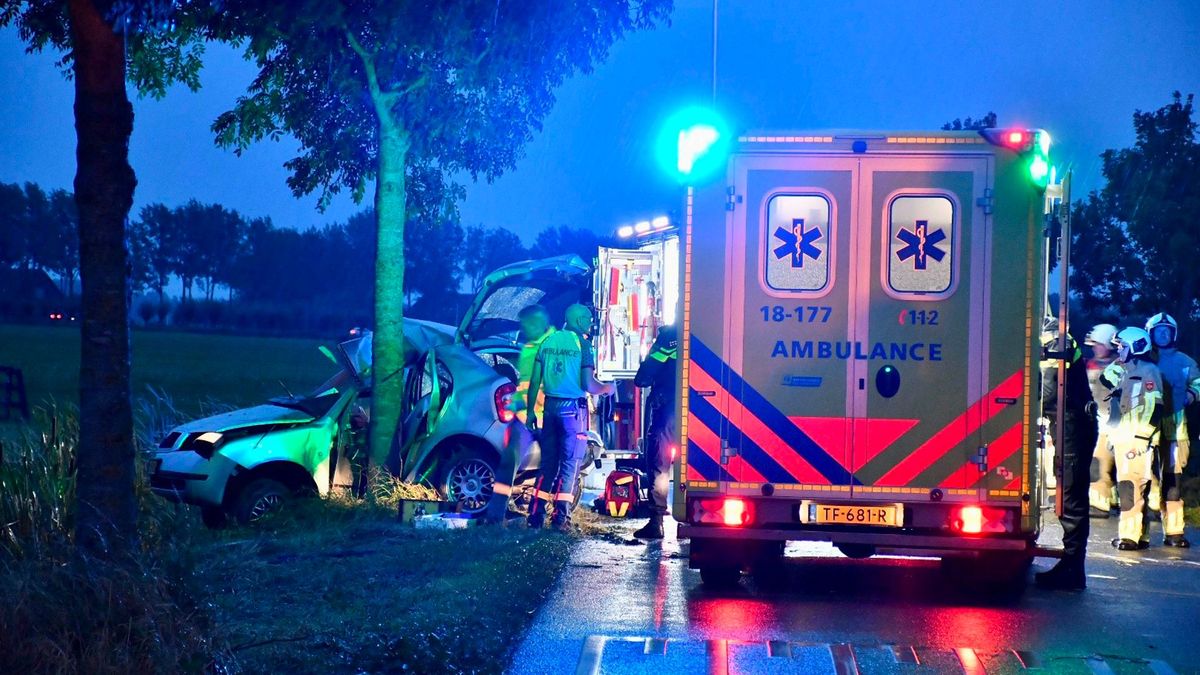 Man (22) overleden na botsing tegen boom in Leerbroek