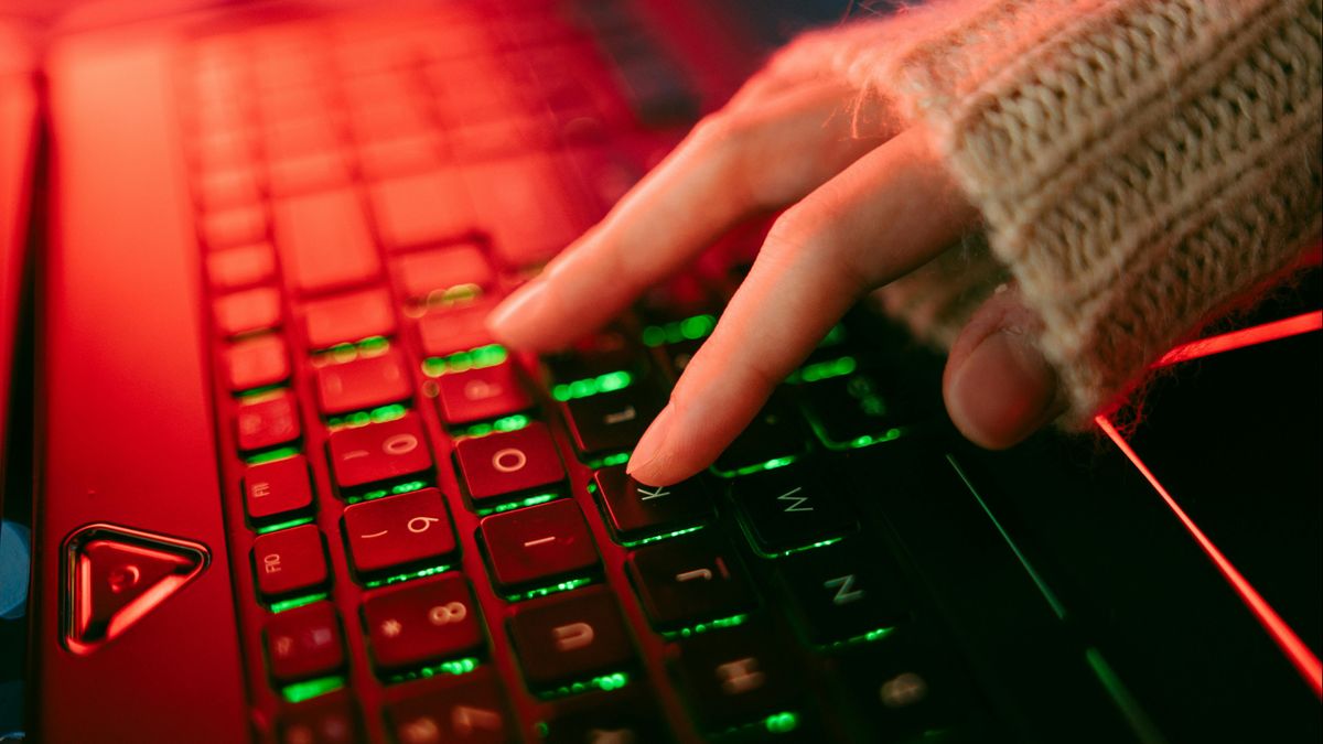 Stagiaire snuffelt in geheime databank rechtspraak, zoekt op naam Willem Holleeder