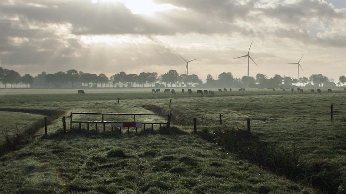 De drie windmolens die al in Staphorst staan