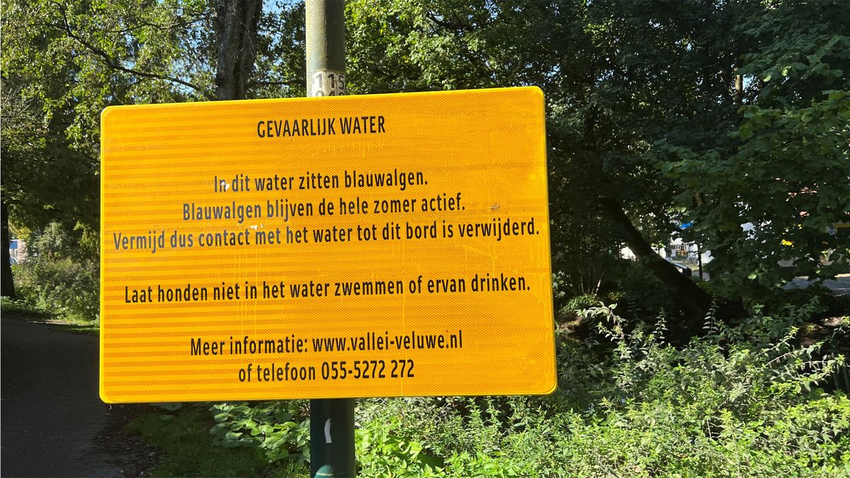 Stinkbacterie gevonden in vijver van kunstwerk in Soest