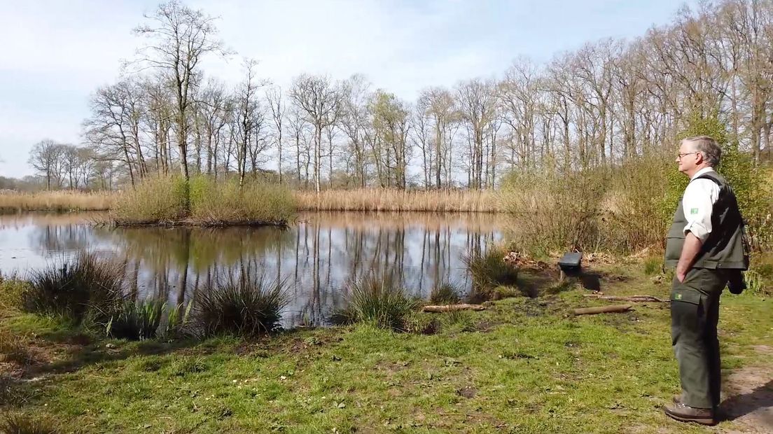 Boswachter Albert Henckel geniet van natuurgebied Natuurschoon