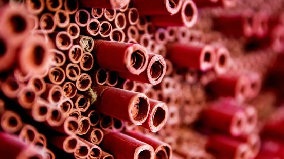 Politie vindt 'bizarre hoeveelheid' vuurwerk in woning Ede