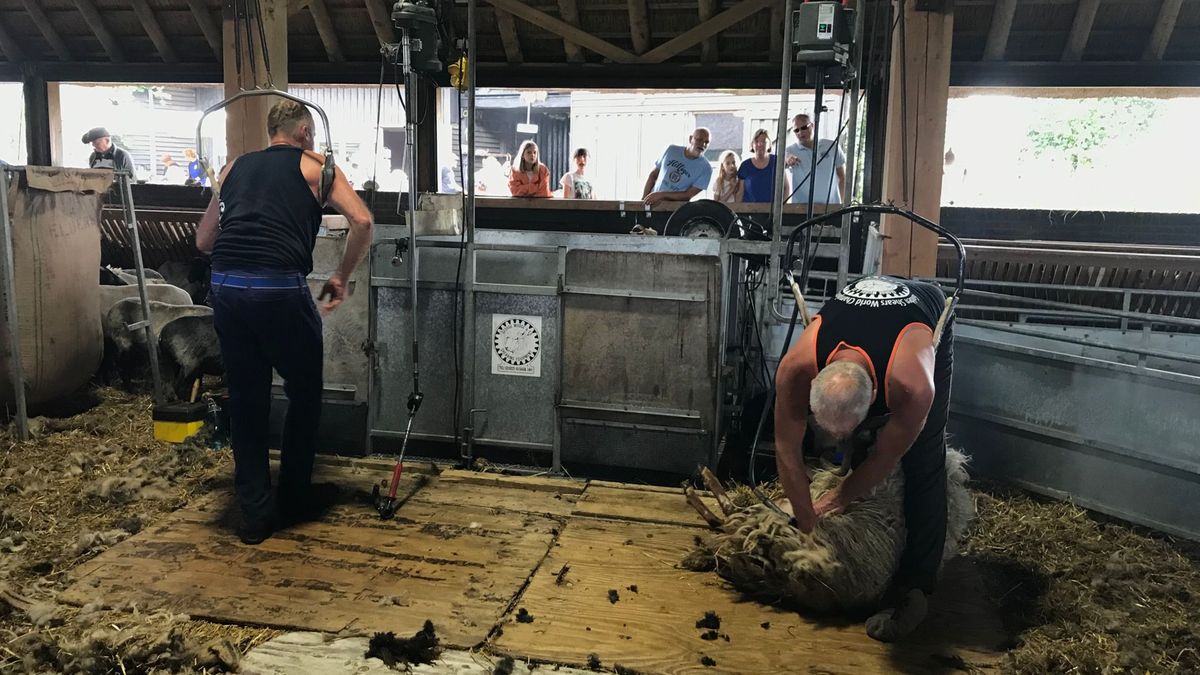Drentse evenementen van start: 'Nu hopen dat bezoekers hun portemonnee trekken'