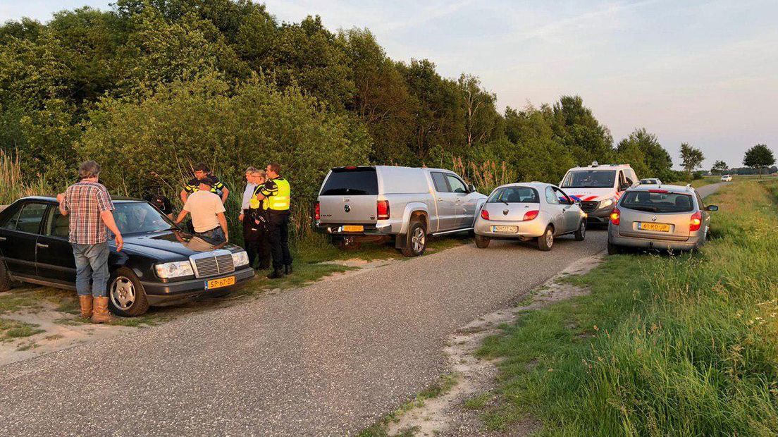 Vanavond liepen koeien op de A37 bij Nieuw-Amsterdam (Rechten: De Vries Media)