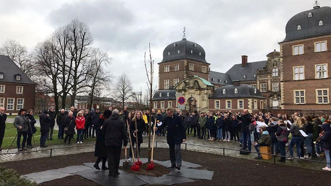 Ook in het Duitse Ahaus staat sinds vanochtend een Anne Frankboom