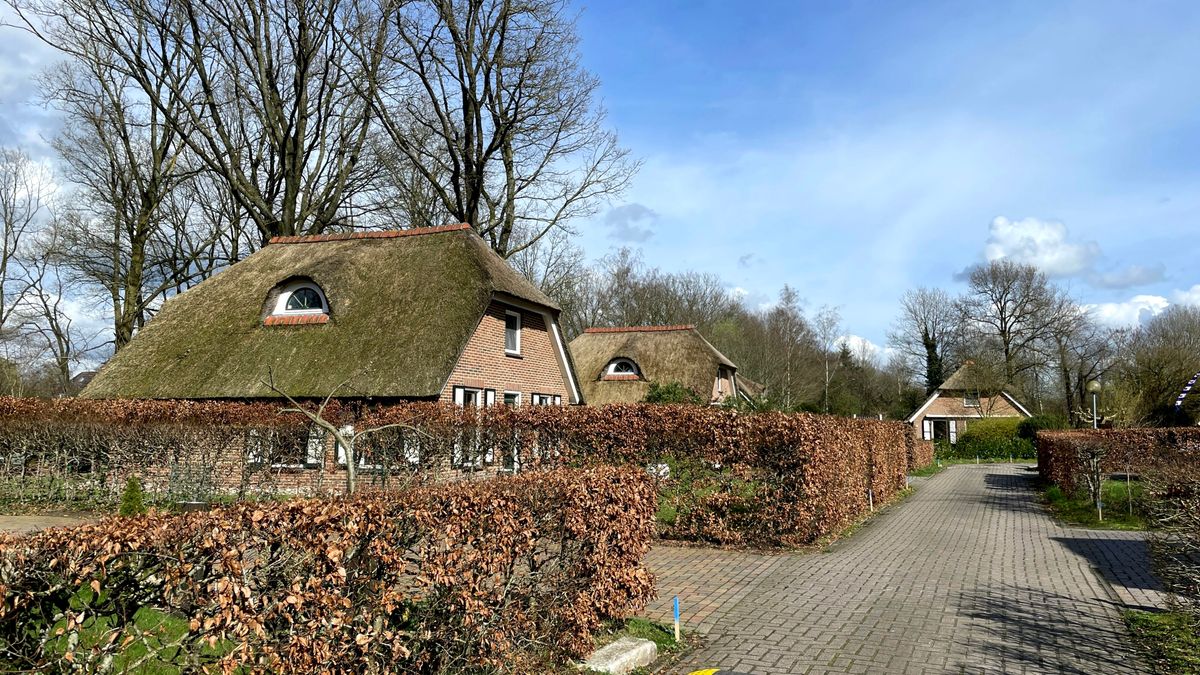 Inwoners Havelte uiten onvrede: 'Sinds 2014 geen huis bijgebouwd'