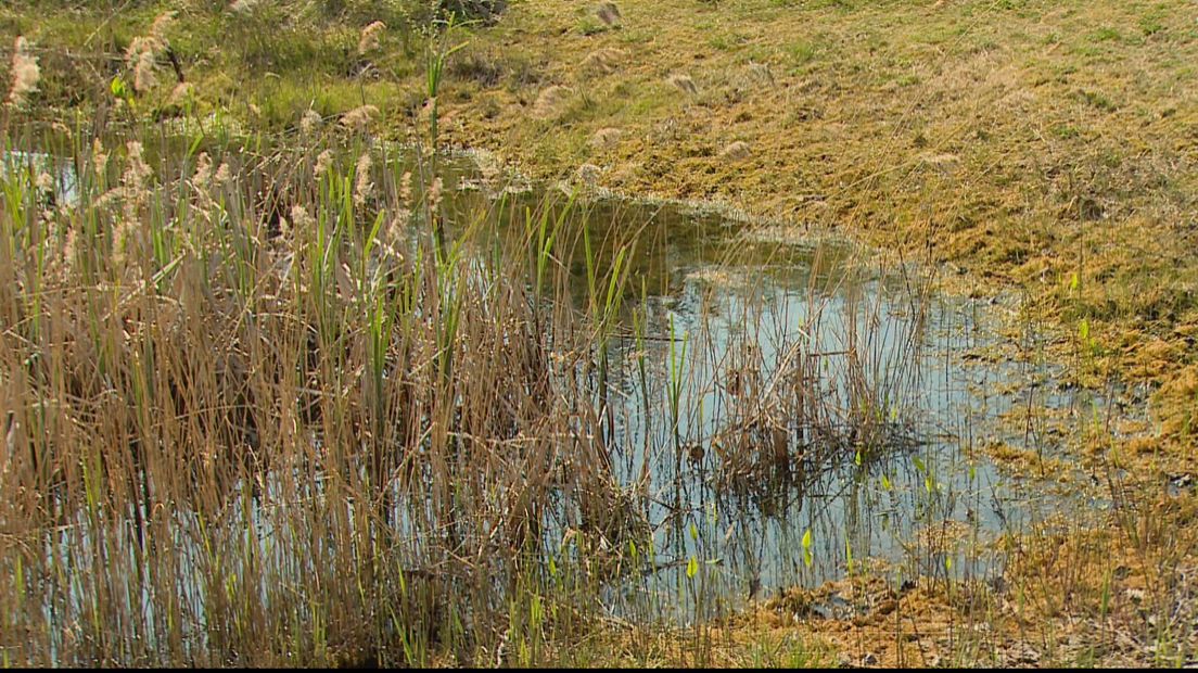 Het water in het Vrouwenputje zou genezende krachten hebben