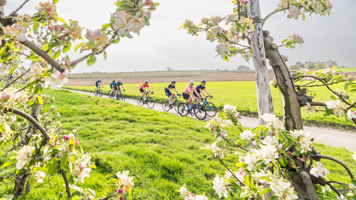 Terugkijken: de Amstel Gold Race Toerversie - L1