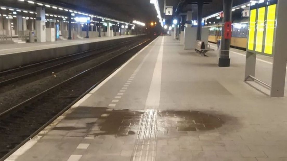 De vlek op perron 9