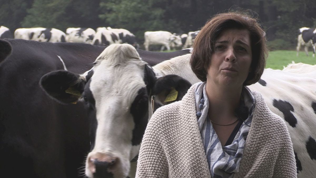 Boerin uit Hezingen over maatregelen Remkes: verspilde moeite als Duitsland niet hetzelfde doet