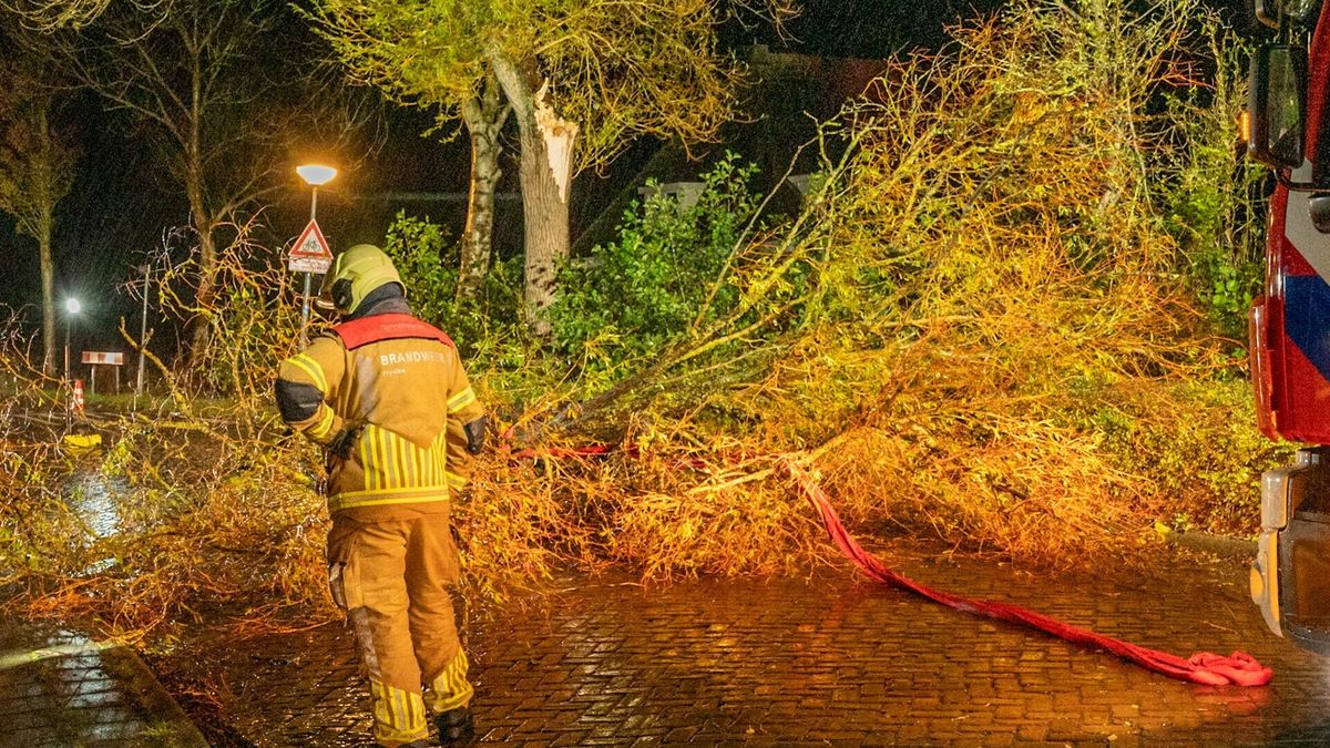 Stuk van boom breekt af en valt op weg in Koudum