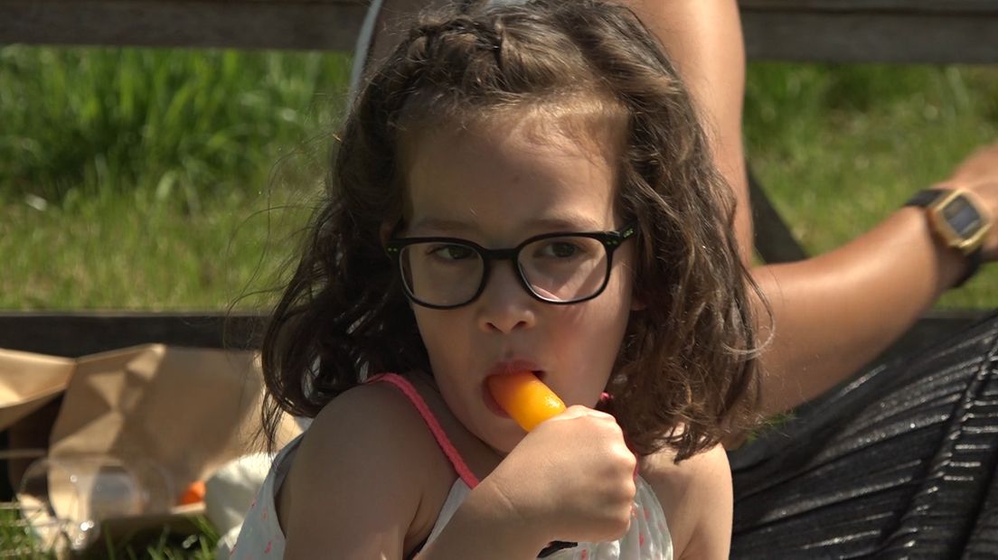 'Aardbeien, nootjes, broodjes. In de tas zaten allemaal lekkere dingen', zegt Kayla. Ze is samen met vader, moeder en zusje vanuit Didam naar Gendringen gekomen om tussen de wijnstronken te picknicken. 'We hebben heel lang binnen gezeten en nu is het wel weer heel fijn dat we dit kunnen doen', lacht ze.