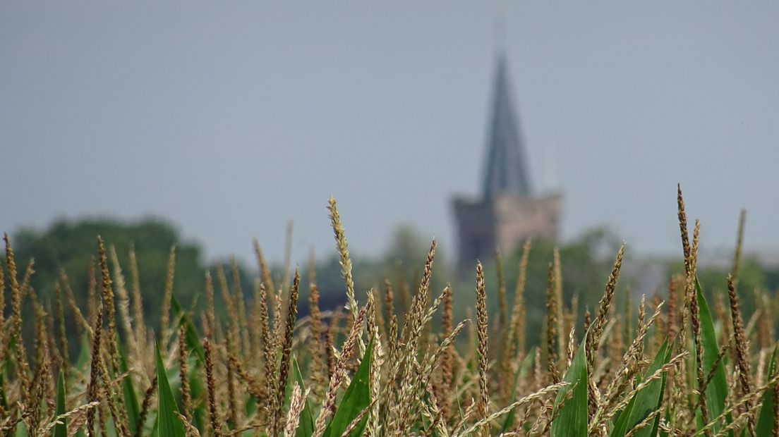 Kerk in Zeeland