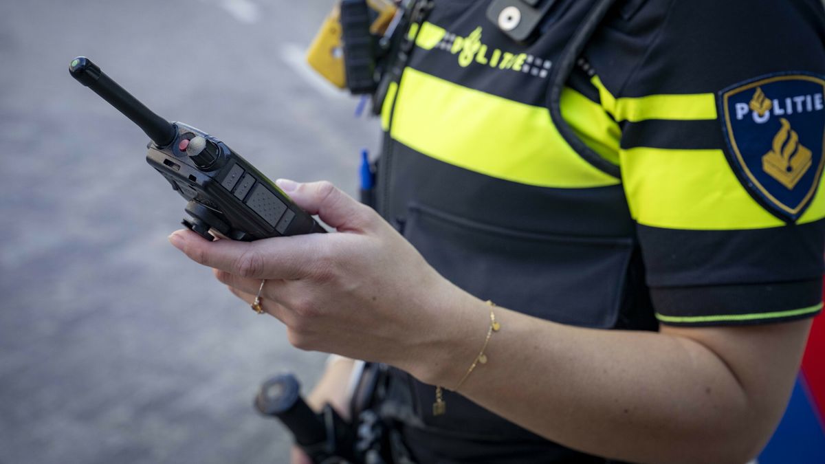Vrouw gewond na aanrijding met trein bij Hindeloopen, treinen rijden weer tussen Leeuwarden en Stavo