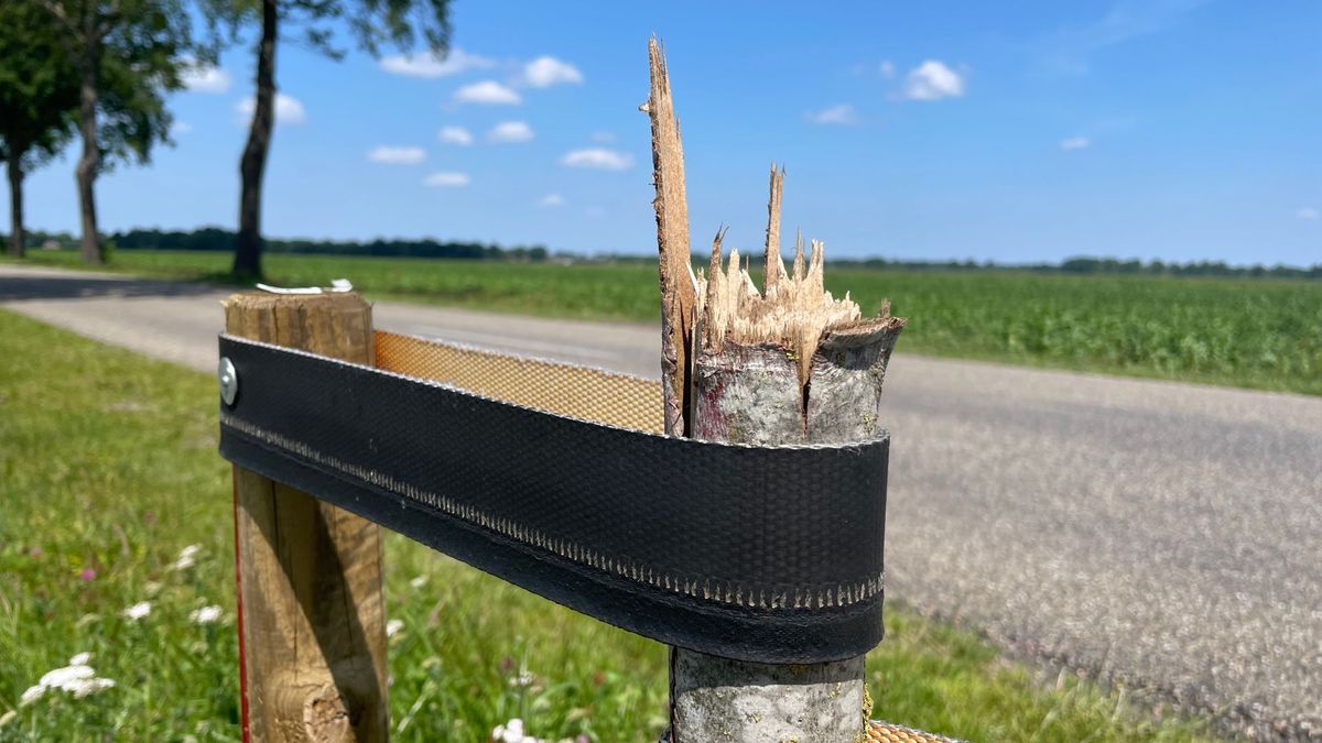 Mysterieuze bomenkapper uit Hooghalen dwarsboomt plannen gemeente