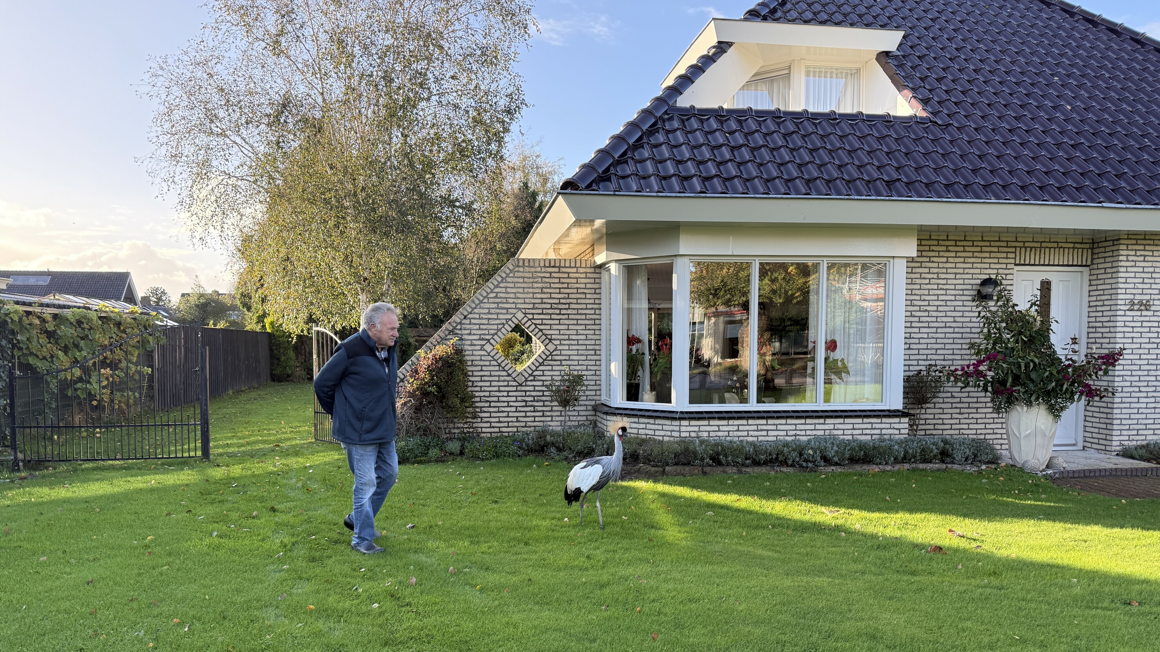 Expeditie Nederland: Arend uit Paterswolde heeft een kraanvogel als huisdier