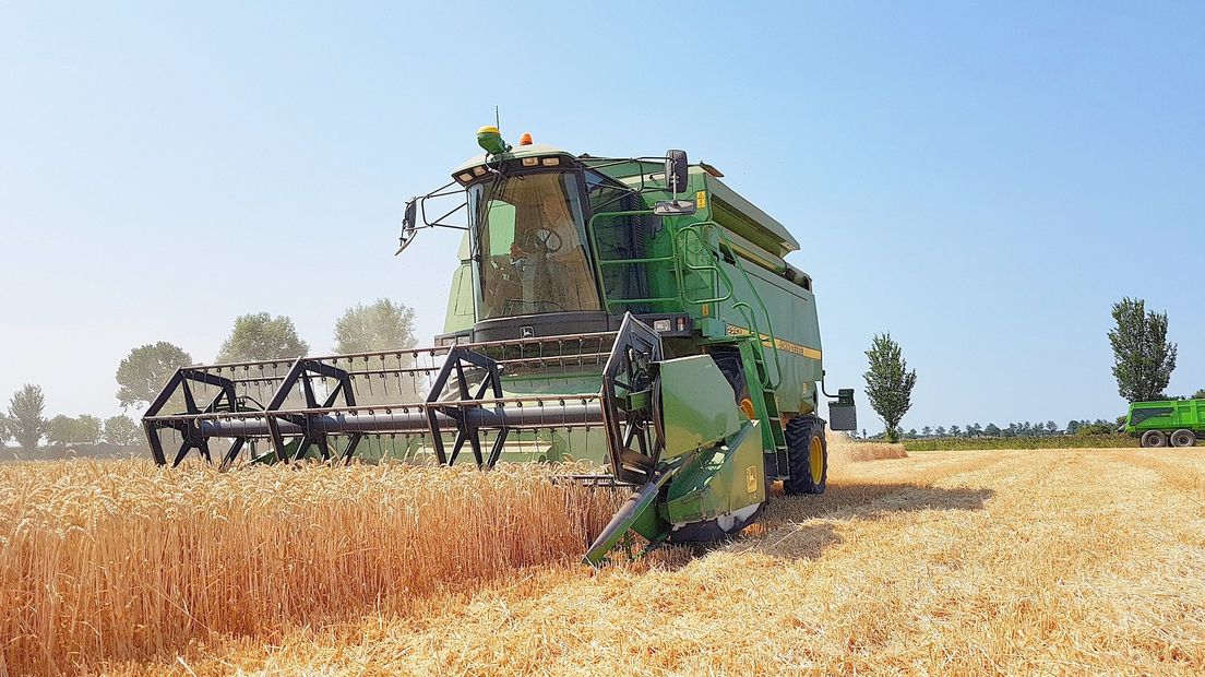 Boeren hebben last van de droogte