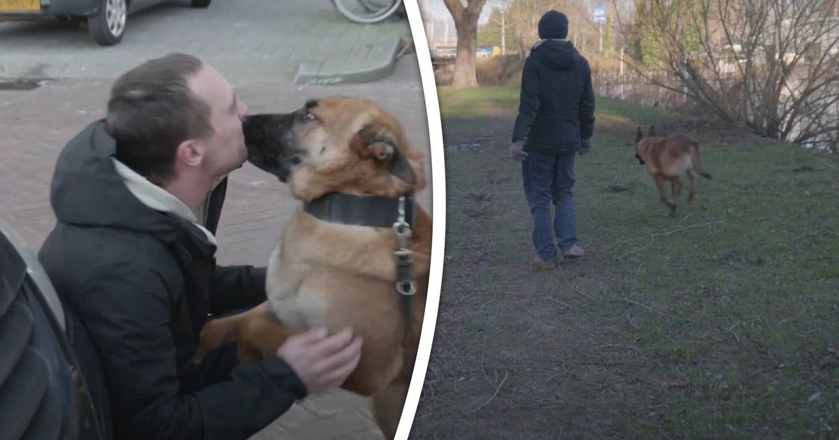 Dakloze Jan krijgt eindelijk zijn hond terug na bijtincident op