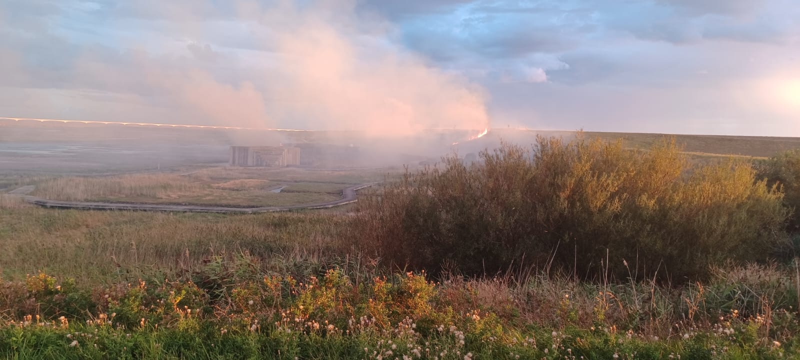 Veiligheidsregio schaalt waarschuwingsniveau natuurbranden af