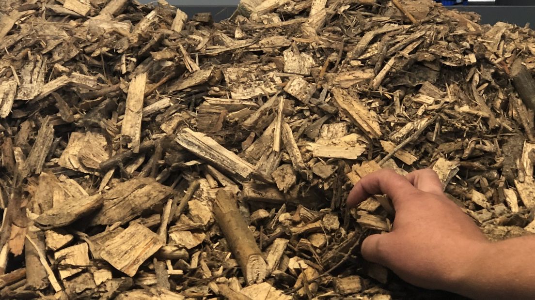 Biomassacentrales draaien onder meer op houtsnippers