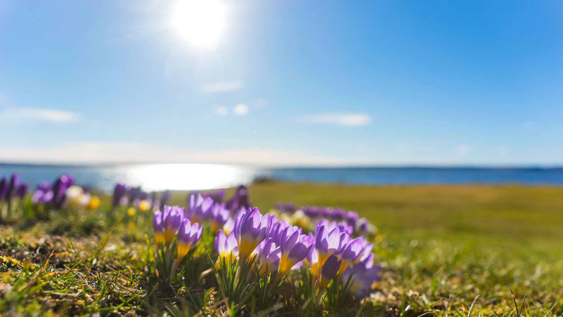 De echte lentedag staat gepland voor woensdag.