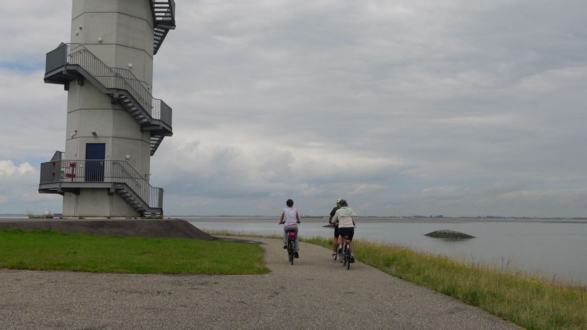 Vijfhonderd palen moeten zandplaat bij Kreverhille heel houden