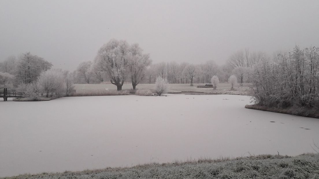 Winter in Zoetermeer. 