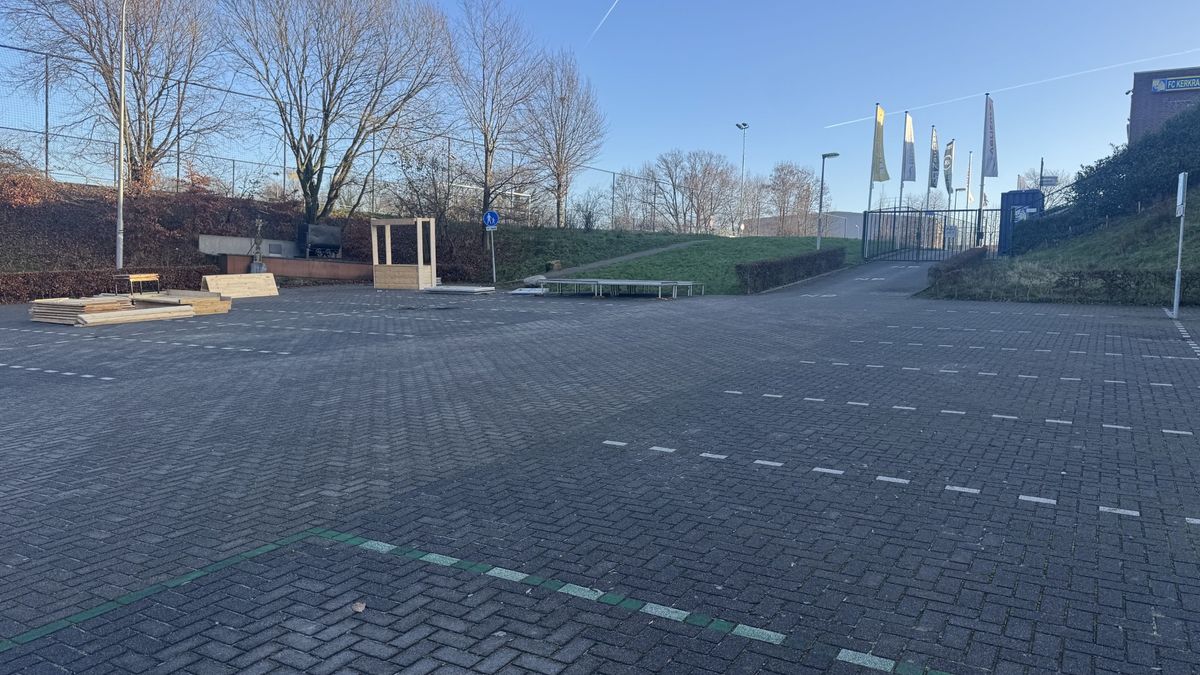 Blauwe plekken en kneuzingen na mishandeling: 