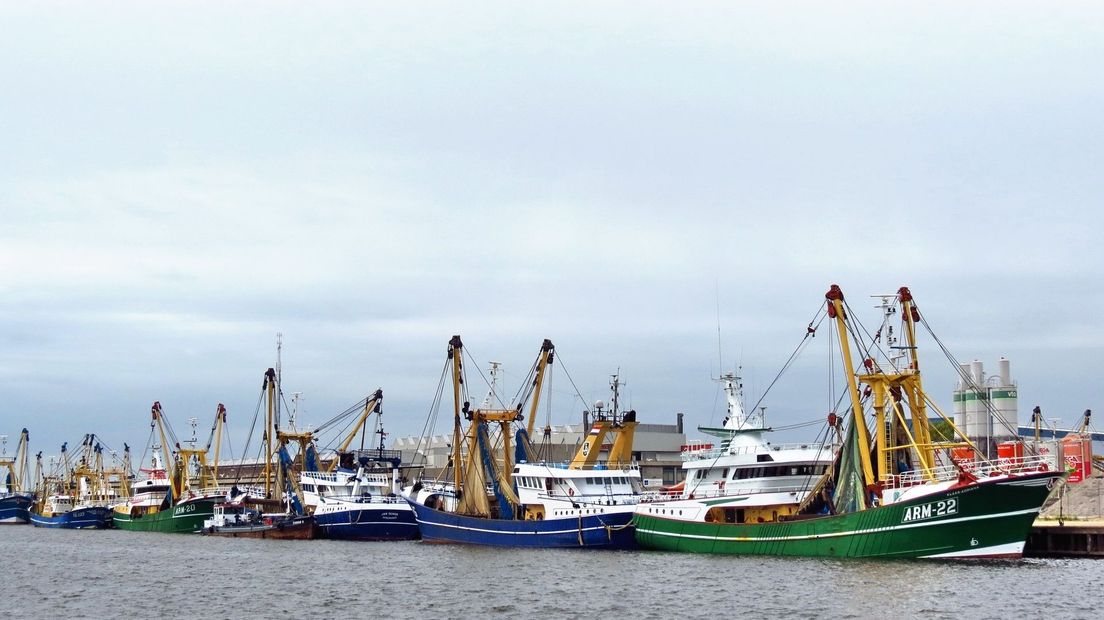 Zeeuwse vissersvloot ligt aangemeerd in de Vlissingse Binnenhaven