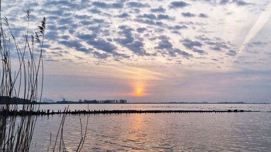 Na regen en wind volgt zonnig lenteweer: 'Maar het kan zelfs in april nog sneeuwen’
