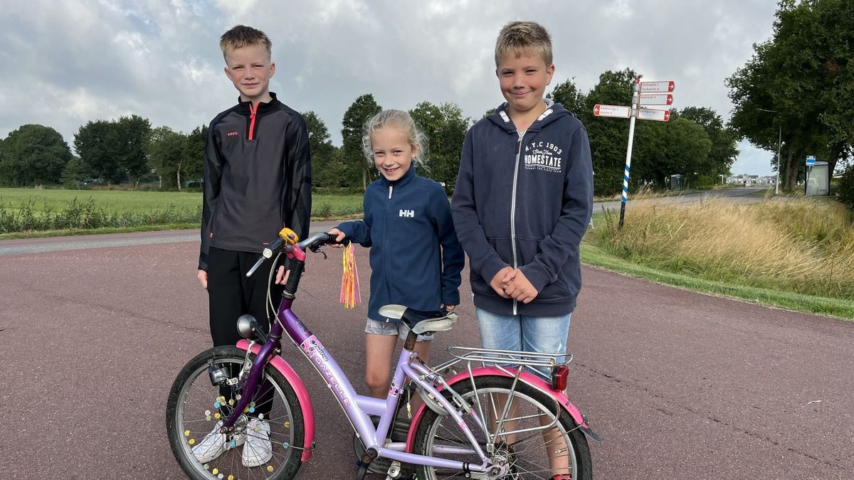Veel verkeer scheurt over Fjildwei bij Terkaple, dorpen willen veiligere weg