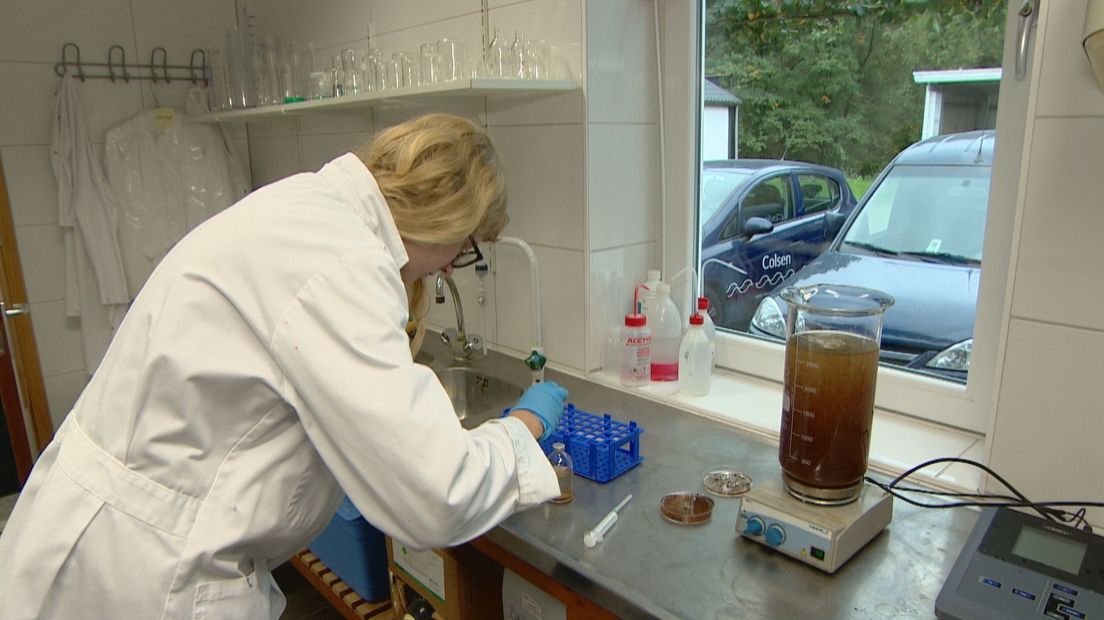 Met Campus Zeeland wil de provincie meer studenten trekken en in de provincie houden