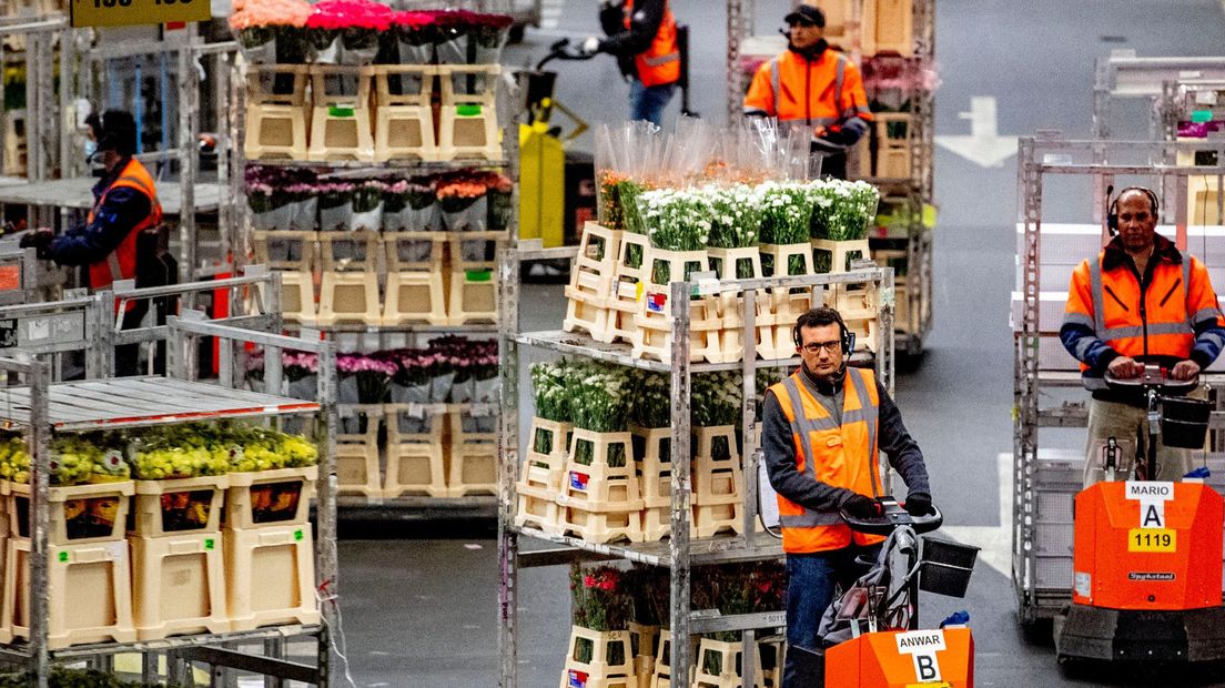 Drukte op de bloemenveiling