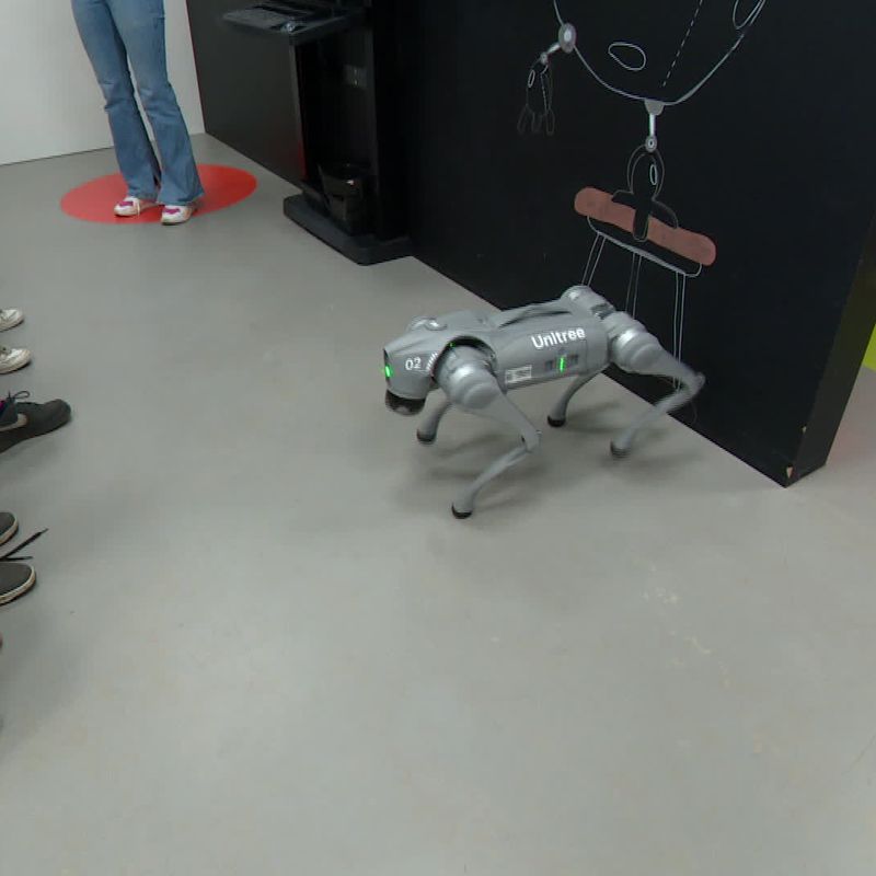 Dog-E - Véritable Chien Robot Interactif - Electronique Junior - Dè