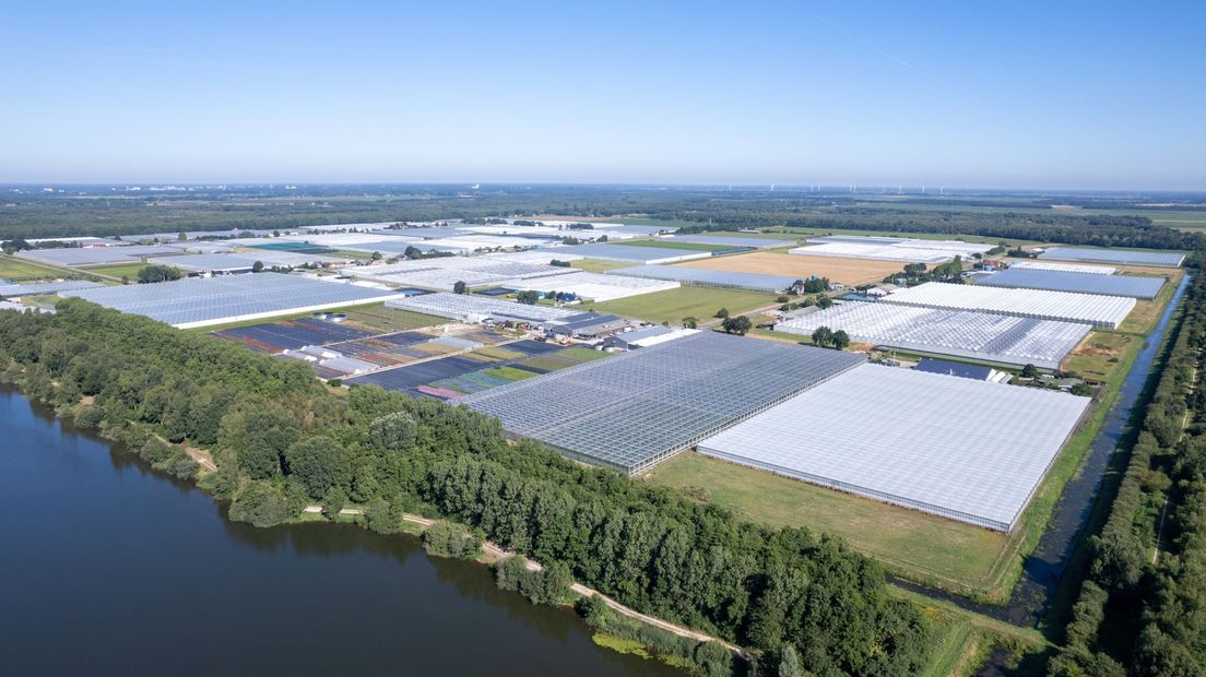 Glastuinbouw Klazienaveen