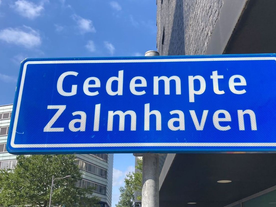 Gedempte Zalmhaven