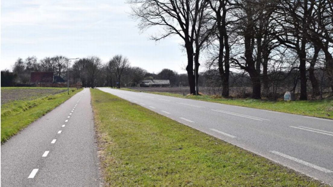 Het bosje langs de weg Aalden - Meppen, waar De Kock werd doodgeschoten (Rechten: Marcel Zantingh)